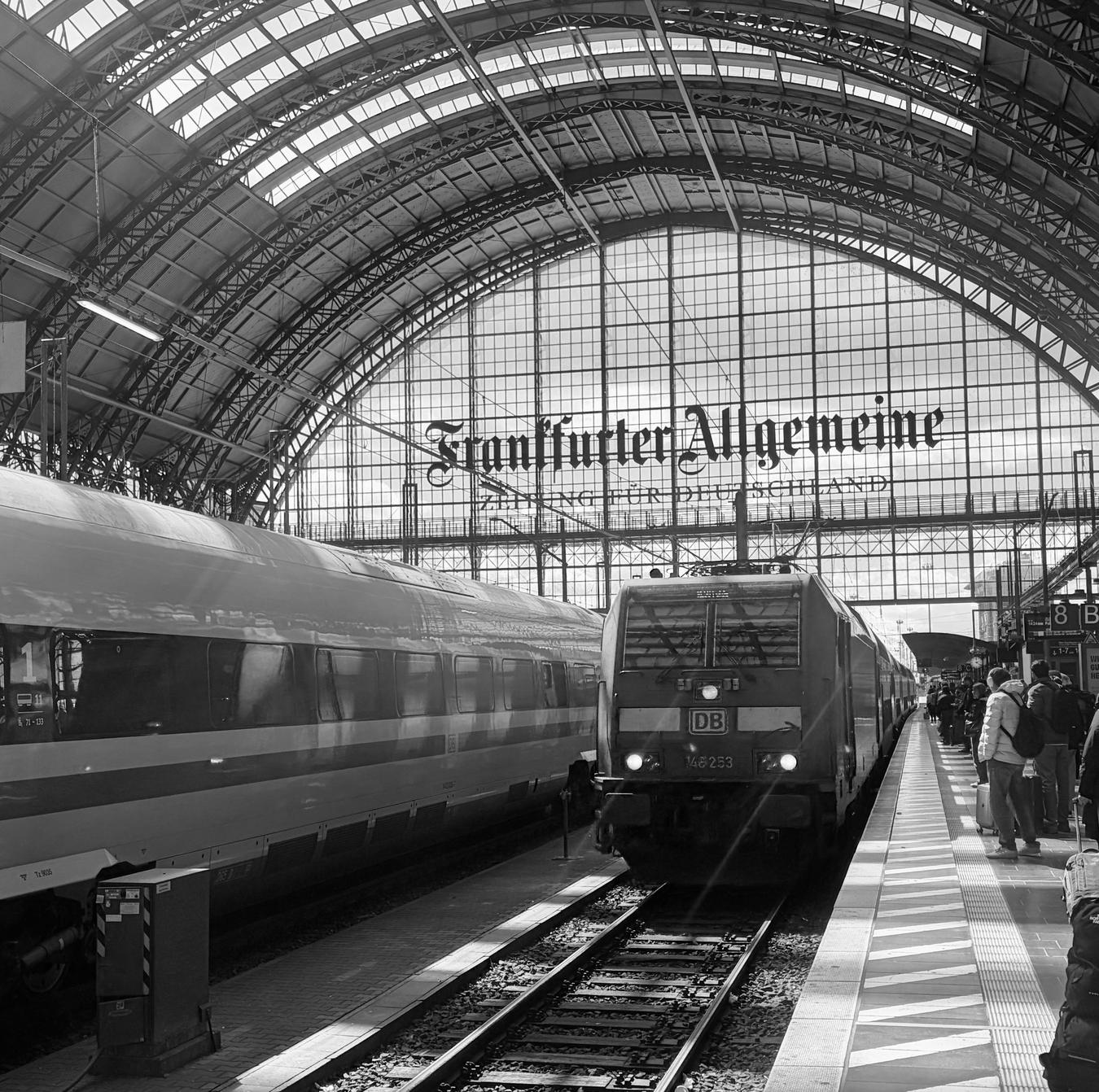 Trains beneath the arched glass trainshed of Frankfurt Hauptbahnhof.
