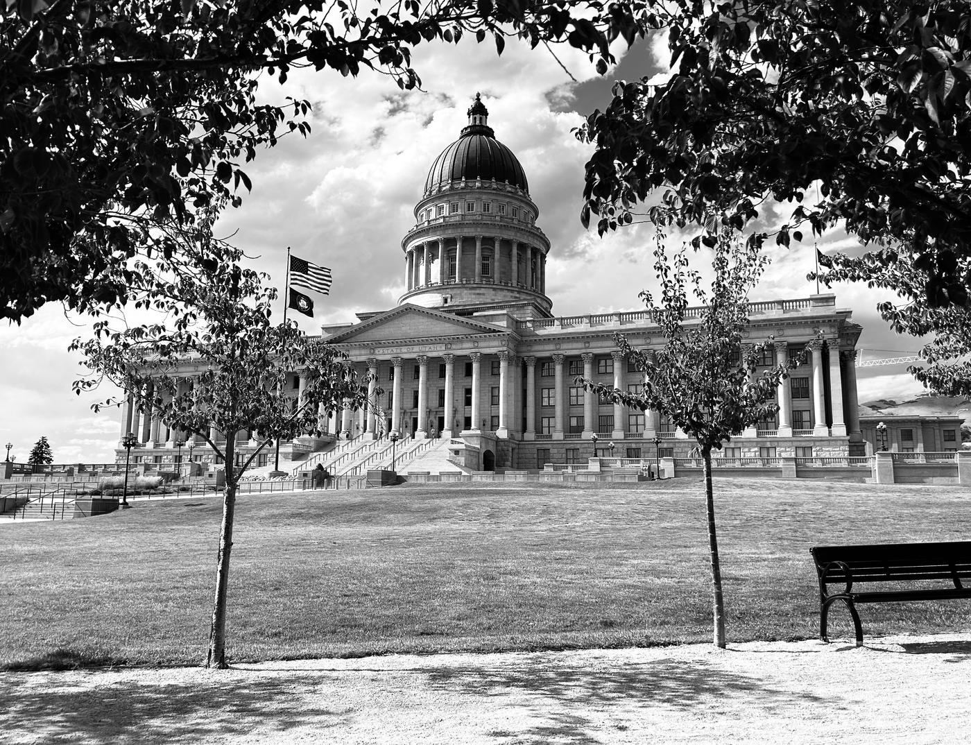 The Utah State Capitol seen through young trees from the lawn below.